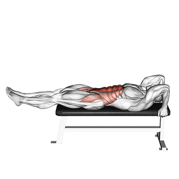 Abdominal Infra Solo